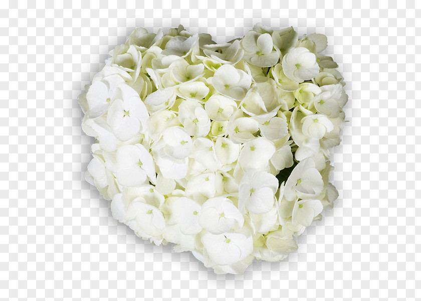 Flower Hydrangea Floral Design Cut Flowers Bouquet PNG