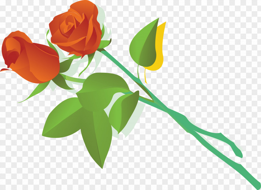 Rose Vector Beach Clip Art PNG