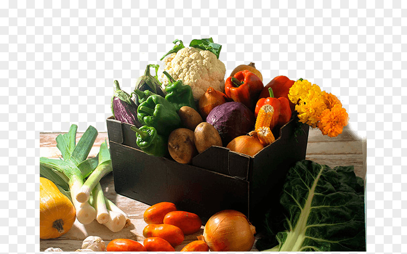 Alimentación Ecológica Fruit FoodVegetable Vegetable Vegetarian Cuisine Somnatur PNG