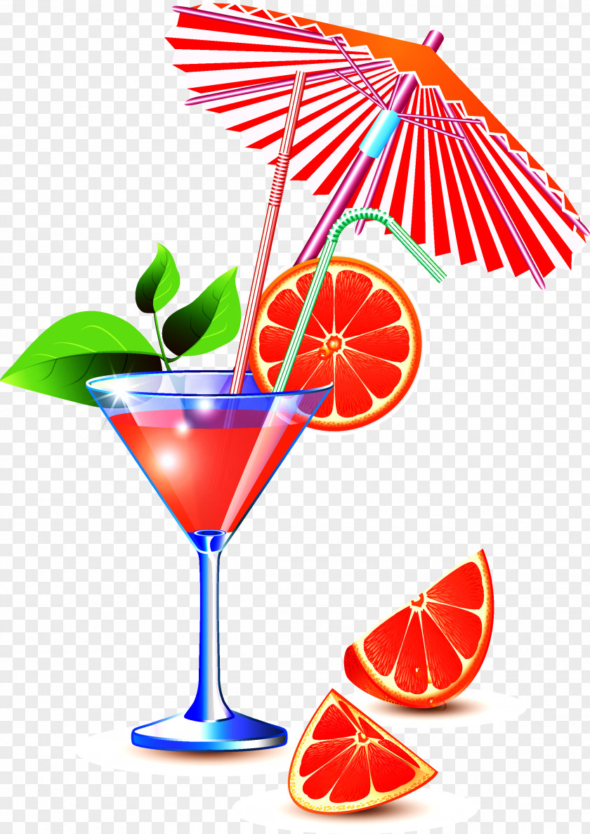 Cocktail Grapefruit Photography Clip Art PNG