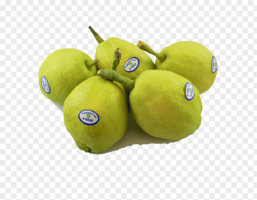 Juicy Pear Hamburger Fruit PNG