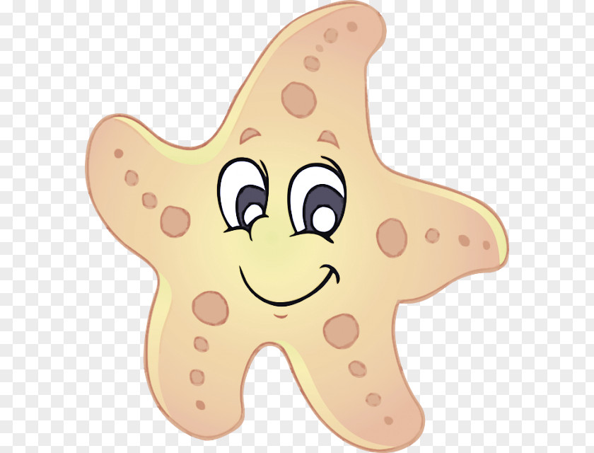 Starfish Ocean Sea Star Oreaster Reticulatus PNG