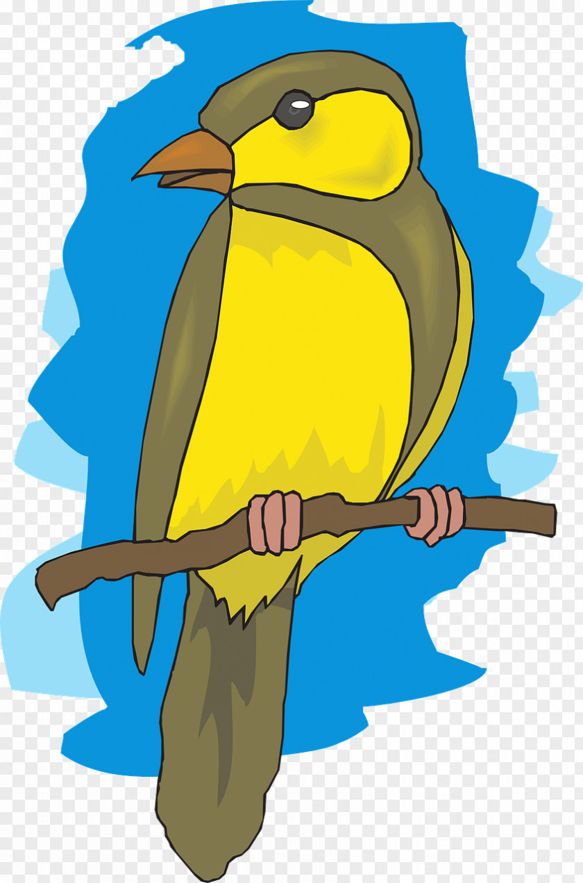 Bird Beak European Goldfinch Vector Graphics The PNG