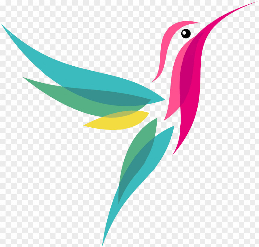 Bird Hummingbird Royalty-free PNG