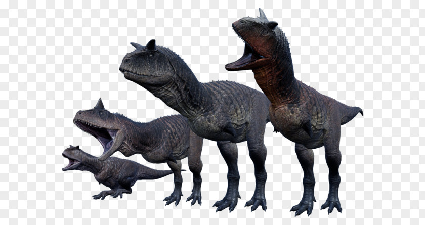 Dinosaur Carnotaurus Ceratosaurus Tyrannosaurus Allosaurus PNG
