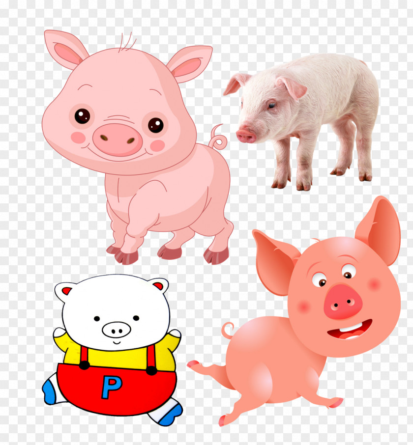 Pig Theme Image Domestic Comics Drawing Clip Art PNG