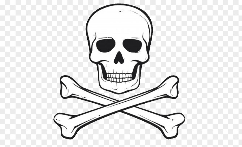 Pirate Jolly Roger Skull Bone Clip Art PNG