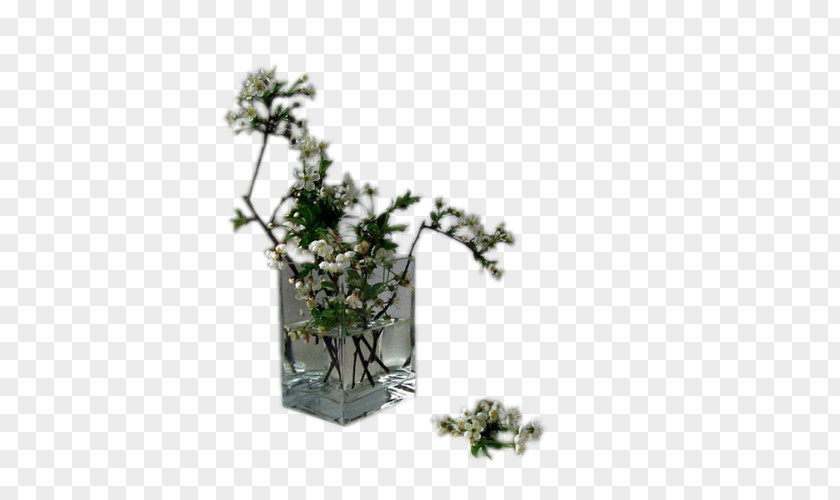 Plant Twig Flowerpot Floral Design Cut Flowers PNG