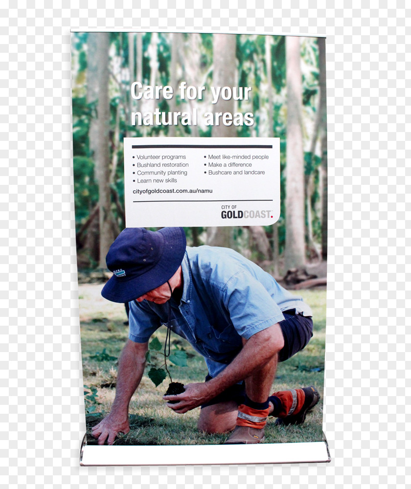 Promo Banner Human Behavior Tree Advertising Recreation PNG