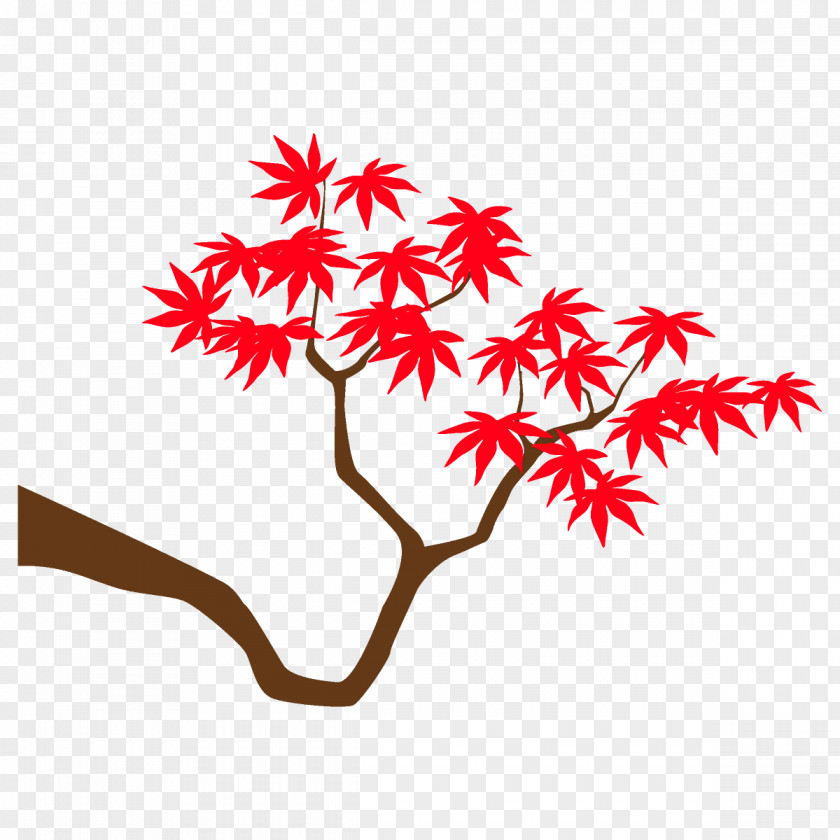 Twig Flower Maple Branch Leaves Autumn Tree PNG