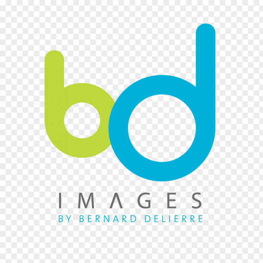 BD LOGO Logo Graphic Design Brand Behance PNG