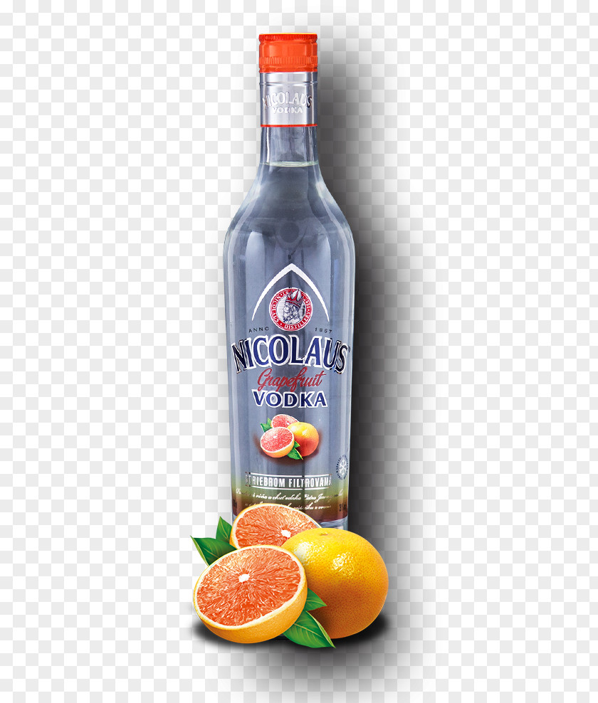 Grapefruit Coconut And Lime Liqueur Vodka Sea Breeze Punch Cocktail PNG