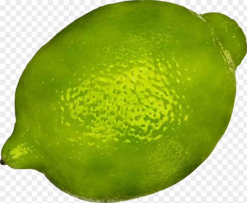 Key Lime Plant Persian Citrus Fruit Green PNG