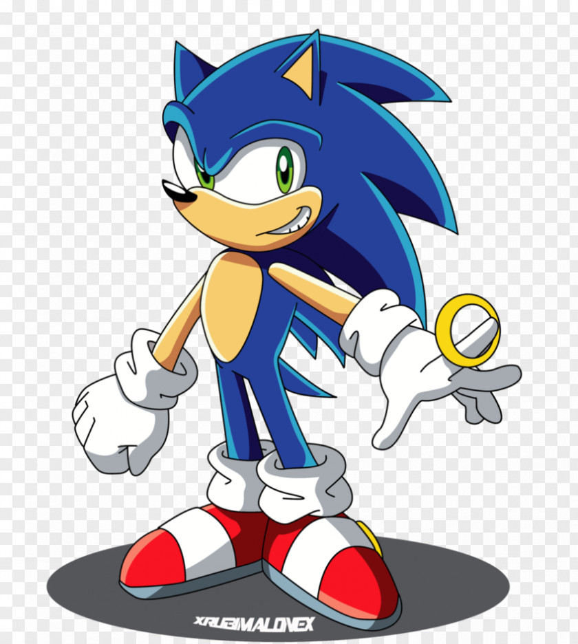 Meng Stay Hedgehog Ariciul Sonic Shadow The Colors And Secret Rings Adventure 2 Battle PNG