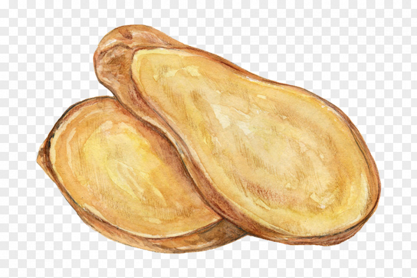 Painting Artist Ginseng Curry Puff PNG
