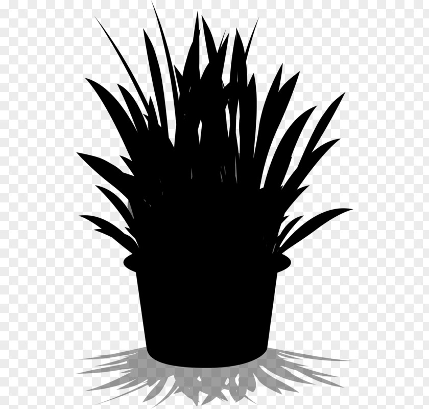Palm Trees Image Drawing Graphics PNG