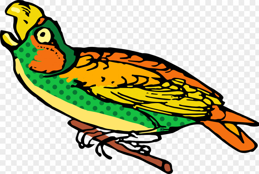 Parrot Bird Budgerigar Clip Art PNG