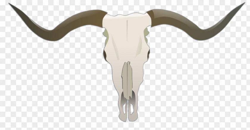 Skull Texas Longhorn English Goat Bull PNG