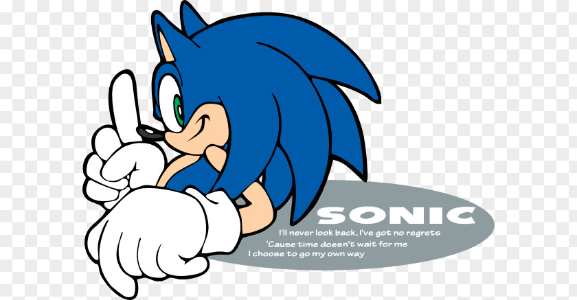 Sonic The Hedgehog Amy Rose Adventure Fighters Shadow PNG