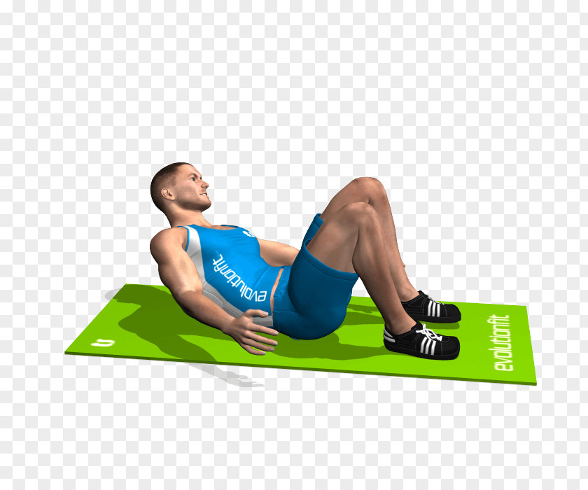 Sports Equipment Knee Yoga Cartoon PNG