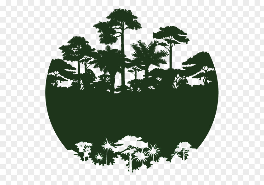 Tropical Rainforest Logo Jungle PNG rainforest Jungle, mangrove swamp, forest clipart PNG
