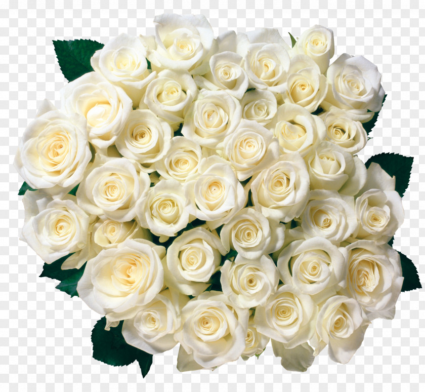 Whire Roses Transparent Picture Garden Flower Bouquet Clip Art PNG