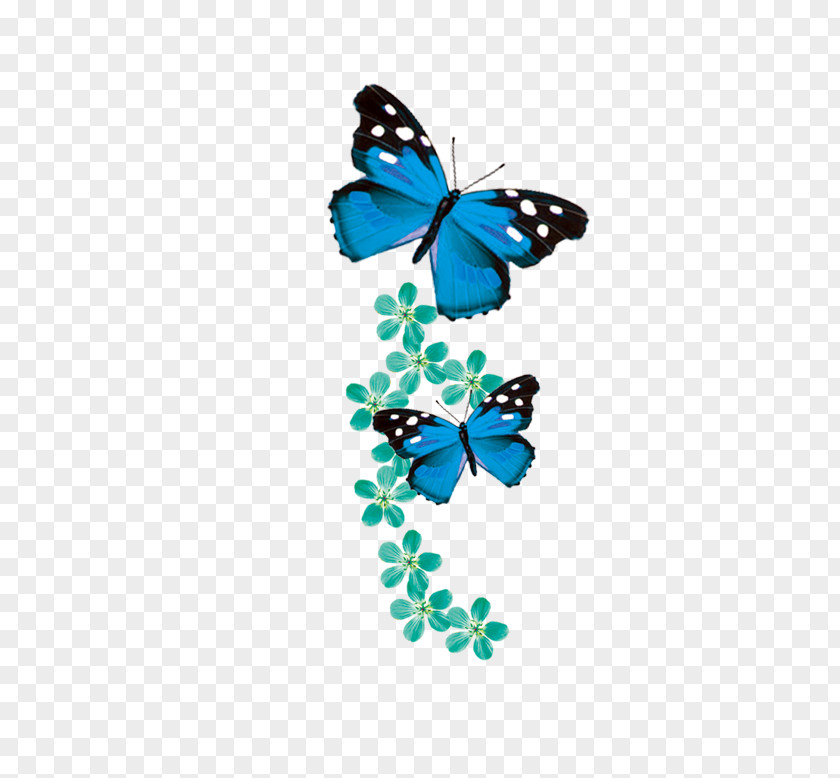 Butterfly Monarch Blue PNG
