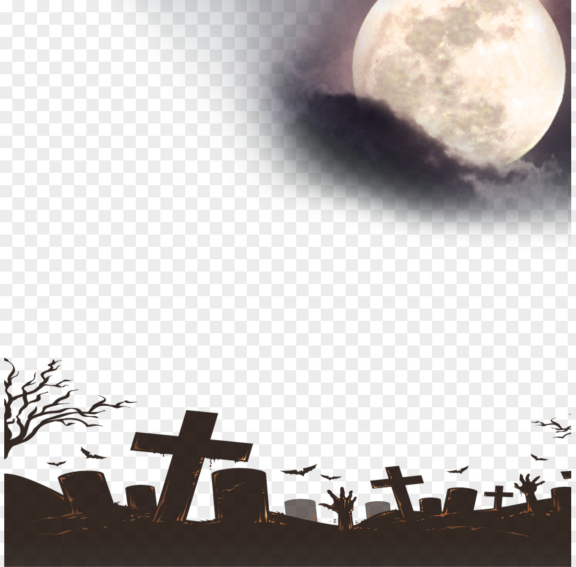 Horror Nights Halloween Wallpaper PNG