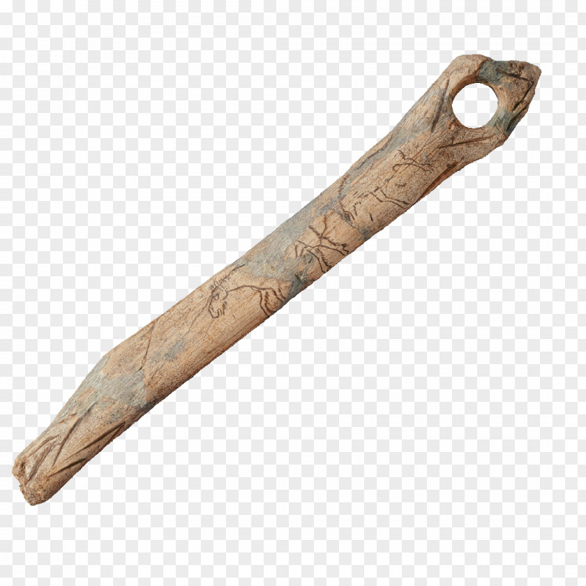 National Museum Of Singapore Spatula Caulking Trowel Tool Grout PNG