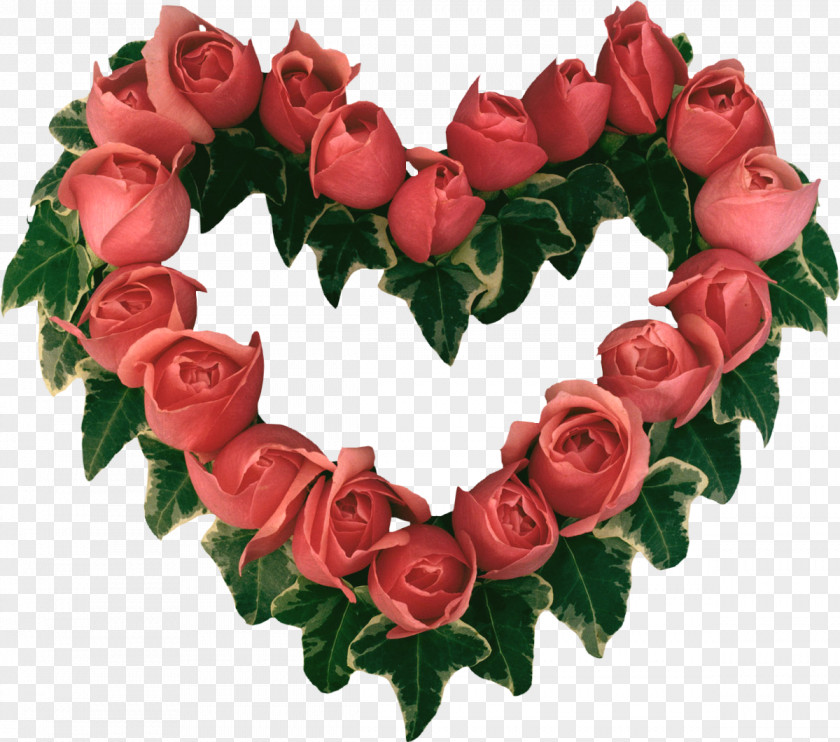 Touching Valentine's Day Best Roses Flower Desktop Wallpaper PNG