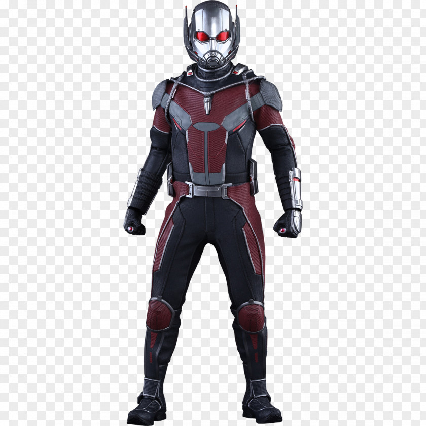Comic Ants Ant-Man Hank Pym Captain America Iron Man Hot Toys Limited PNG