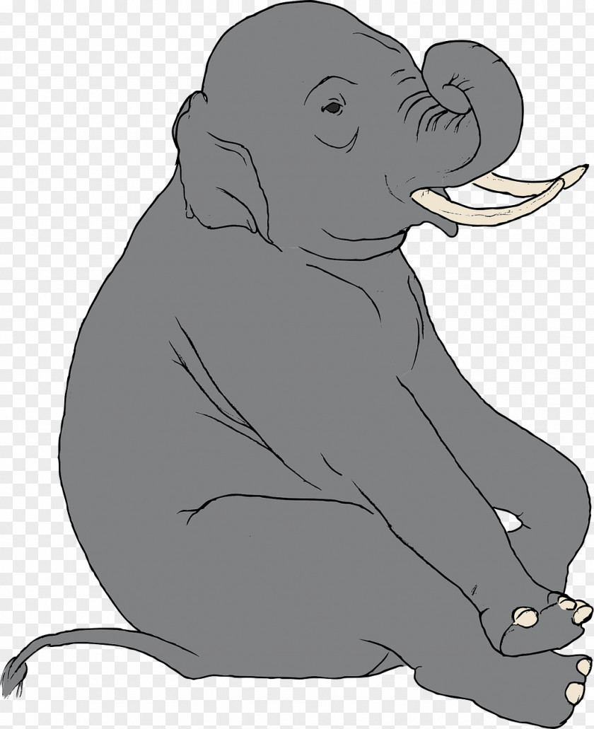 Elephant Nursery Asian Elephantidae Clip Art PNG