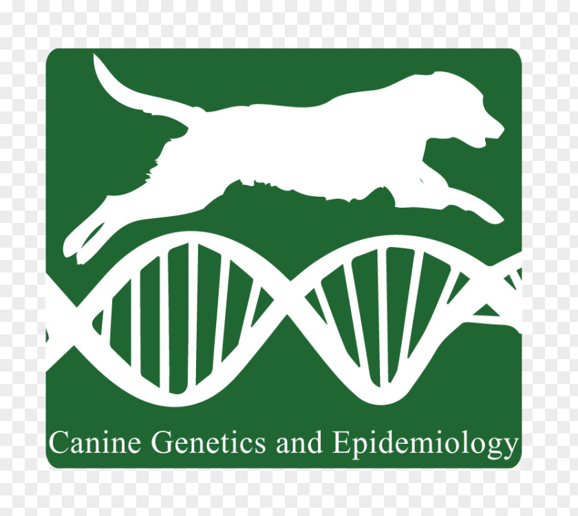 Epidemiology Modern Loss: Candid Conversation About Grief. Beginners Welcome. Purebred Dog Breed Death PNG
