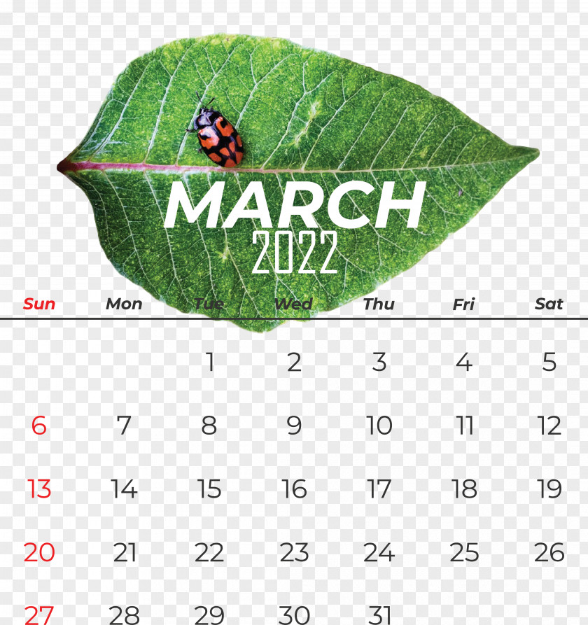 Leaf Calendar Font Meter Science PNG