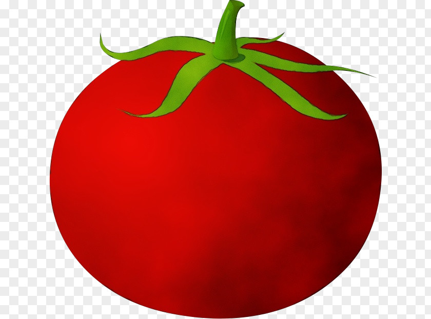 Natural Foods Food Tomato PNG