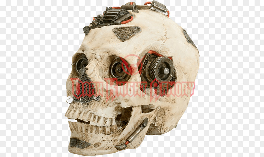 Skull Metallic Color Human Skeleton PNG