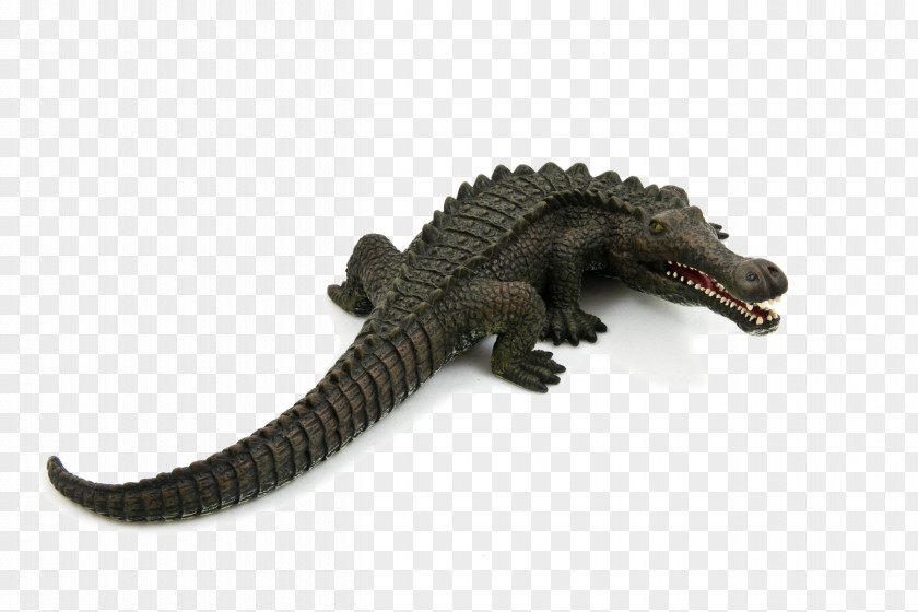 Crocodile Sarcosuchus Toy Brachiosaurus Suchomimus PNG