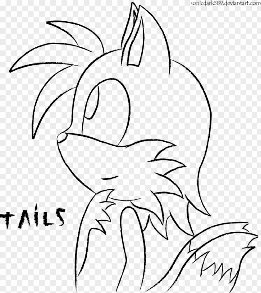 Fox Sketch Tails Line Art Drawing PNG