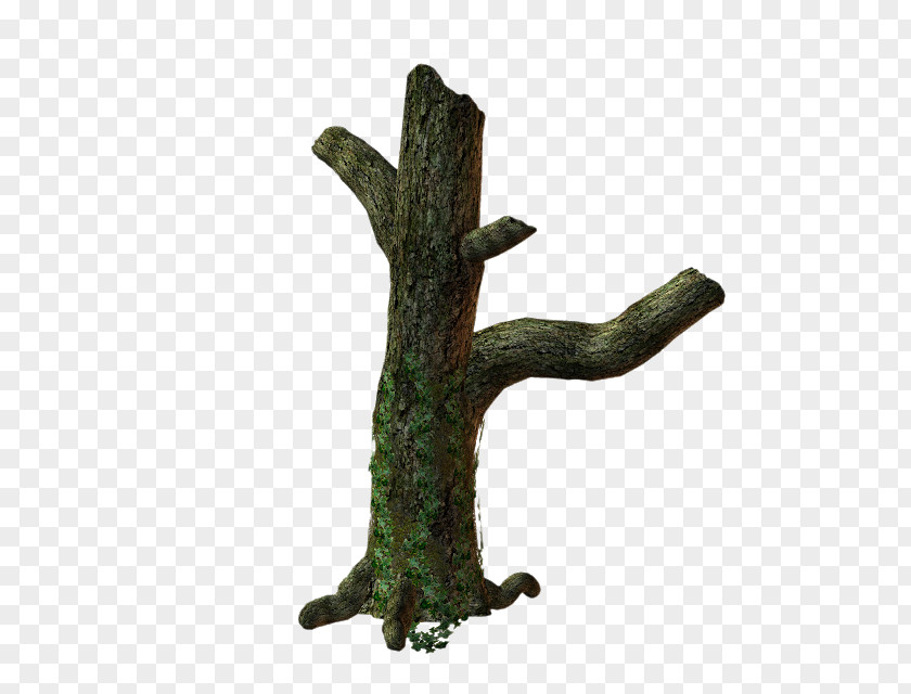 Tree Twig Root Trunk Clip Art PNG