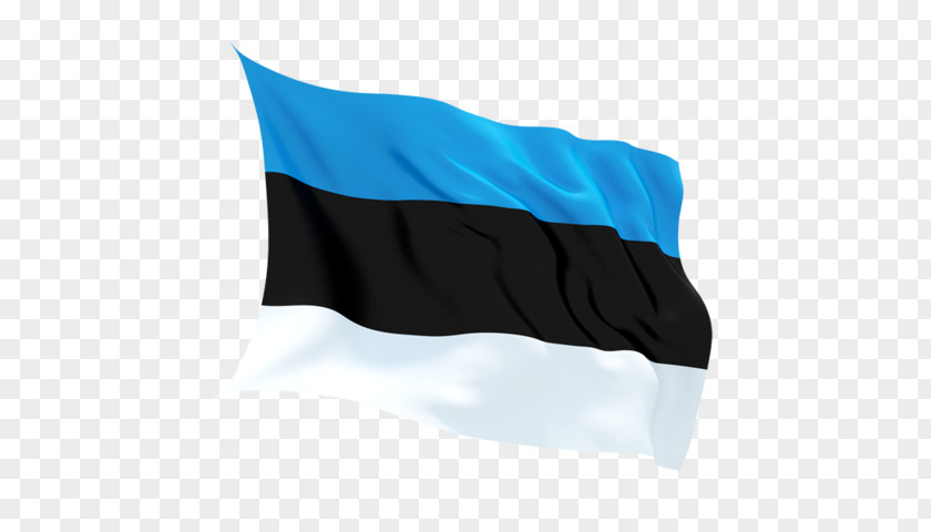 Estonia Flag Estonian Language Translation Translator National Symbols Of PNG