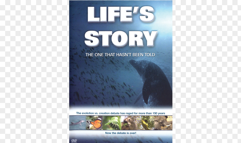 Geology Darwin Ecosystem Fauna Advertising Animal Life PNG