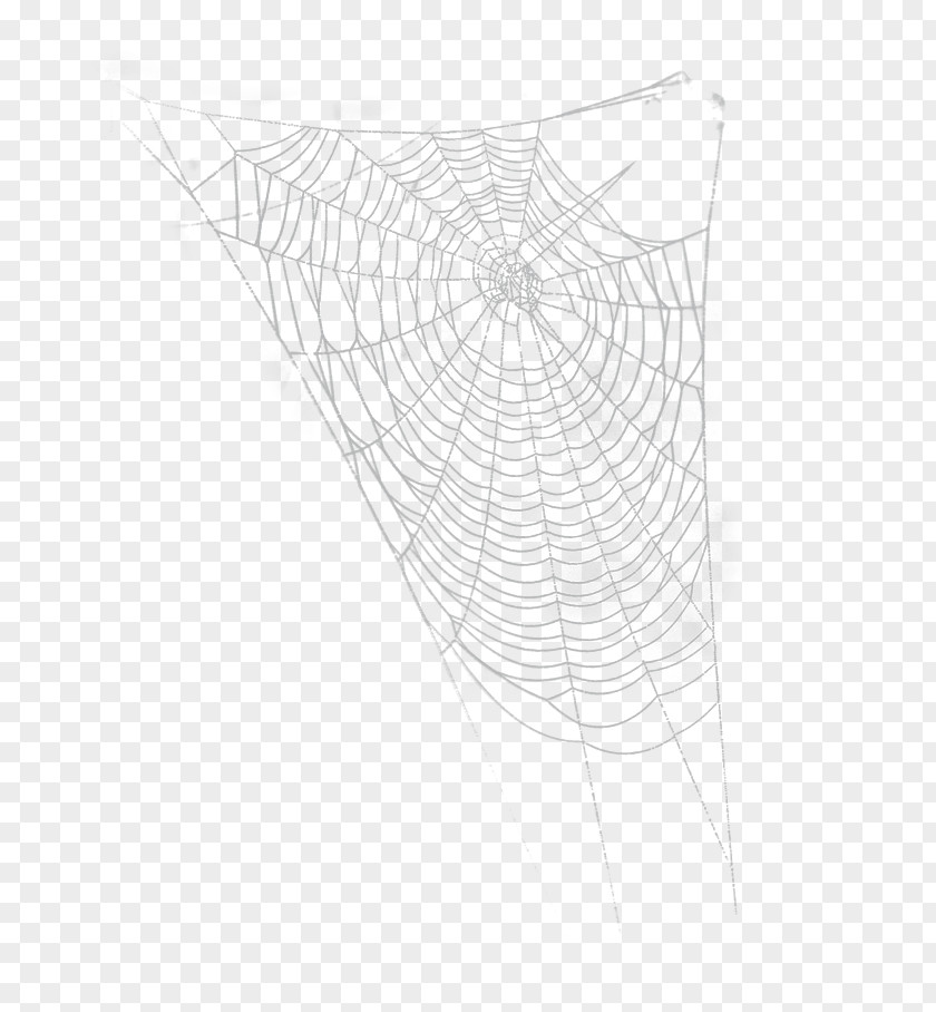 Halloween Cobwebs PNG cobwebs clipart PNG