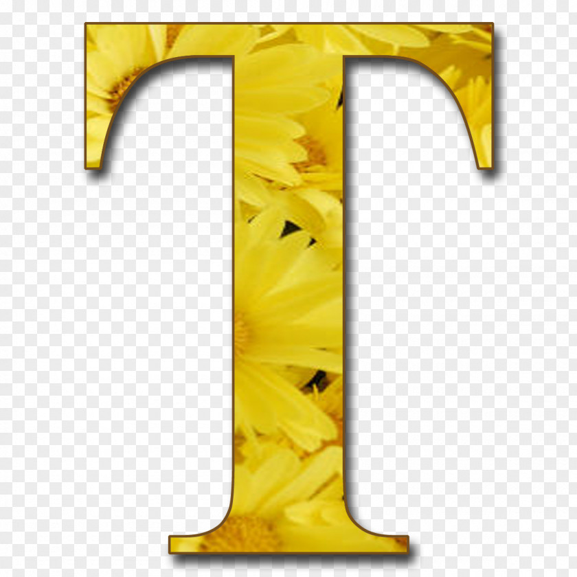 Letter M Yellow A PNG