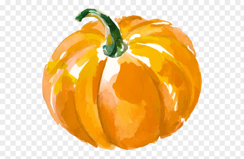 Pumpkin Vector Graphics Watercolor Painting Illustration Royalty-free PNG