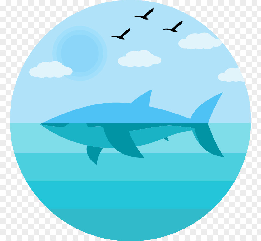 Shark Sea Student Lesson Plan Science Middle School PNG