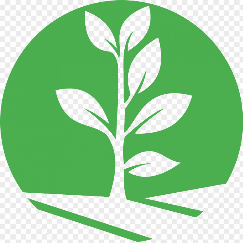 Stealth Grow Box Plants Clip Art Cannabis Email Leaf Garden PNG