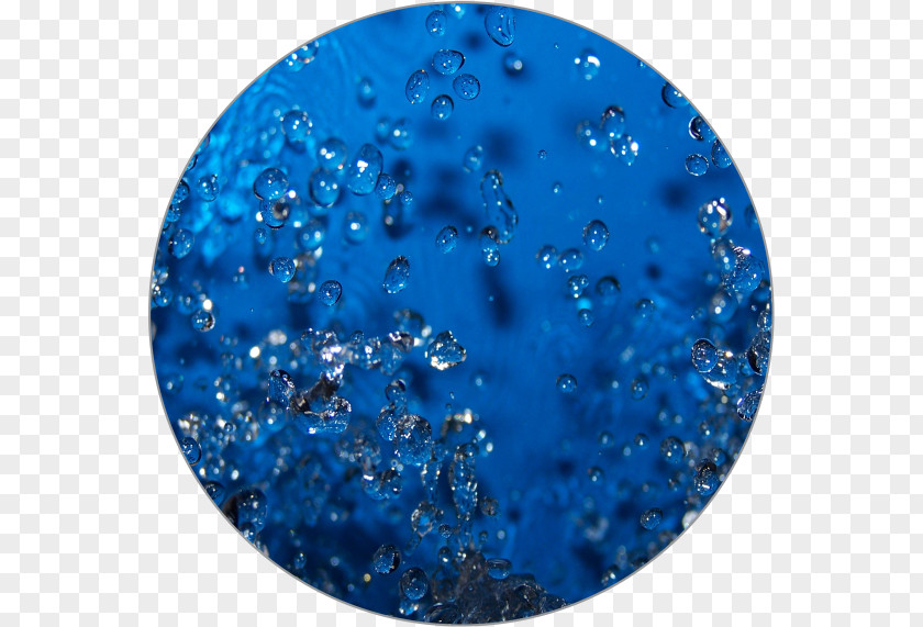 Water Glitter Organism PNG