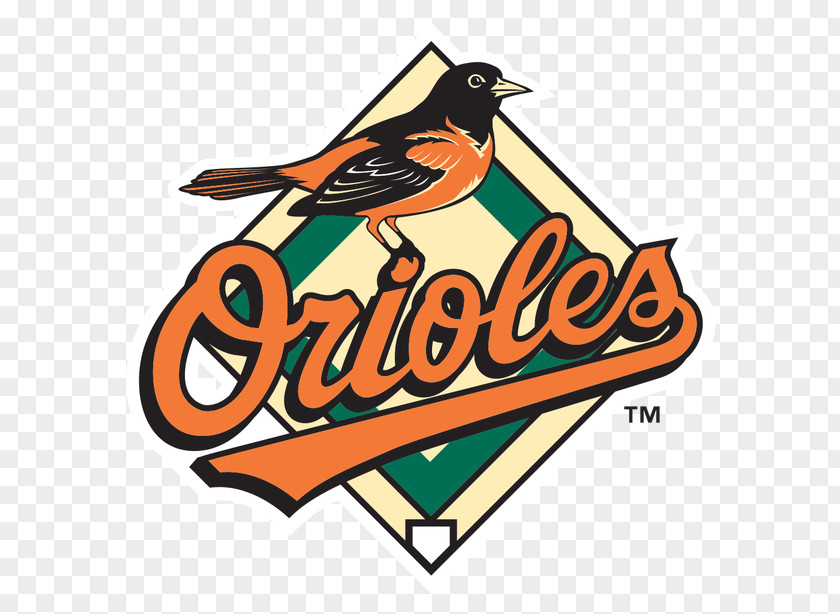 Baseball Baltimore Orioles Oriole Park At Camden Yards MLB American League PNG