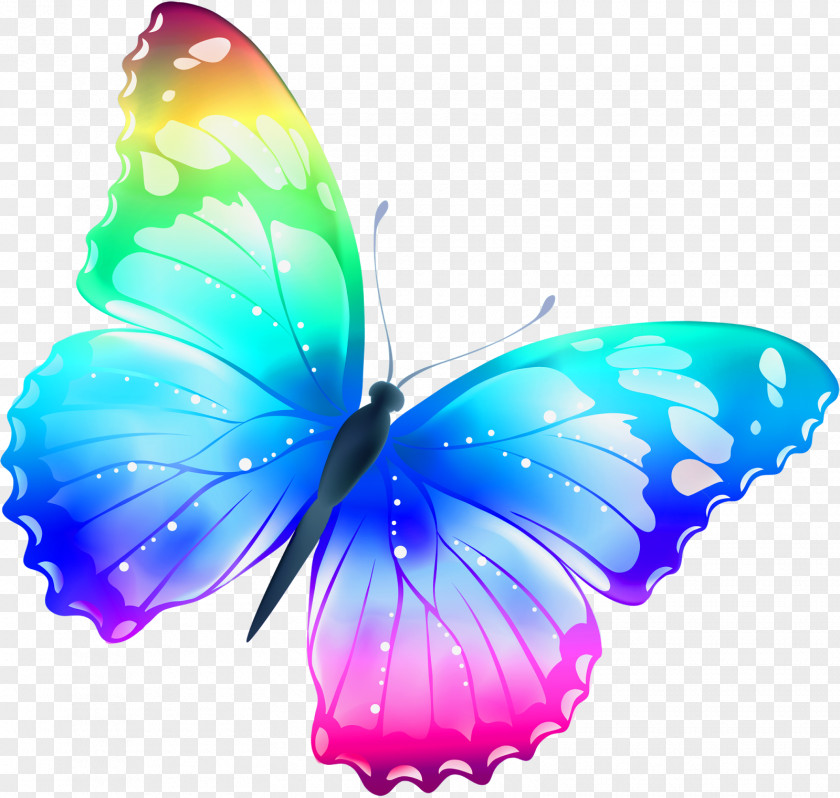 Butterfly Rainbow Color Clip Art PNG