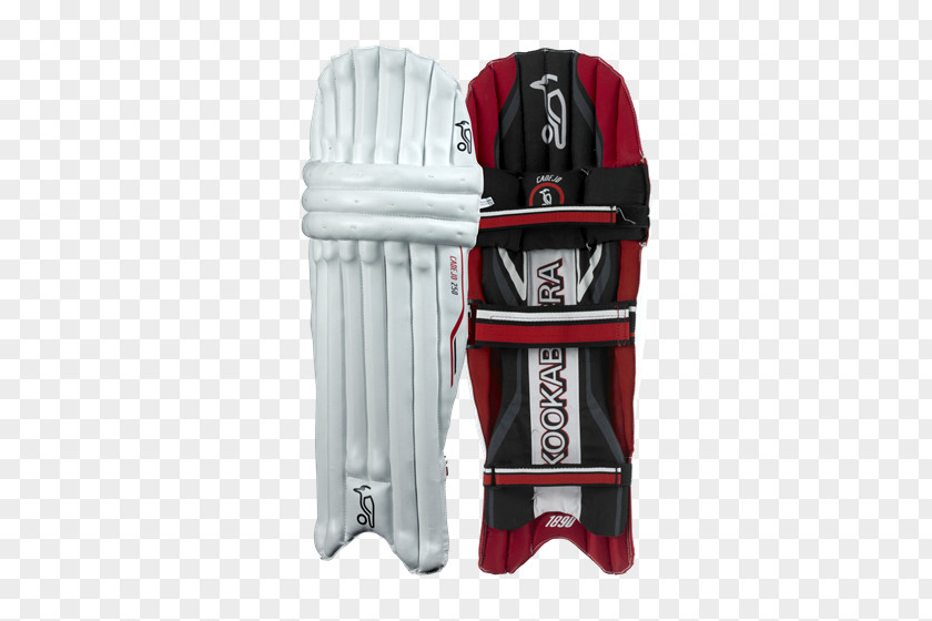 Cricket Bats Sport Batting Pads PNG